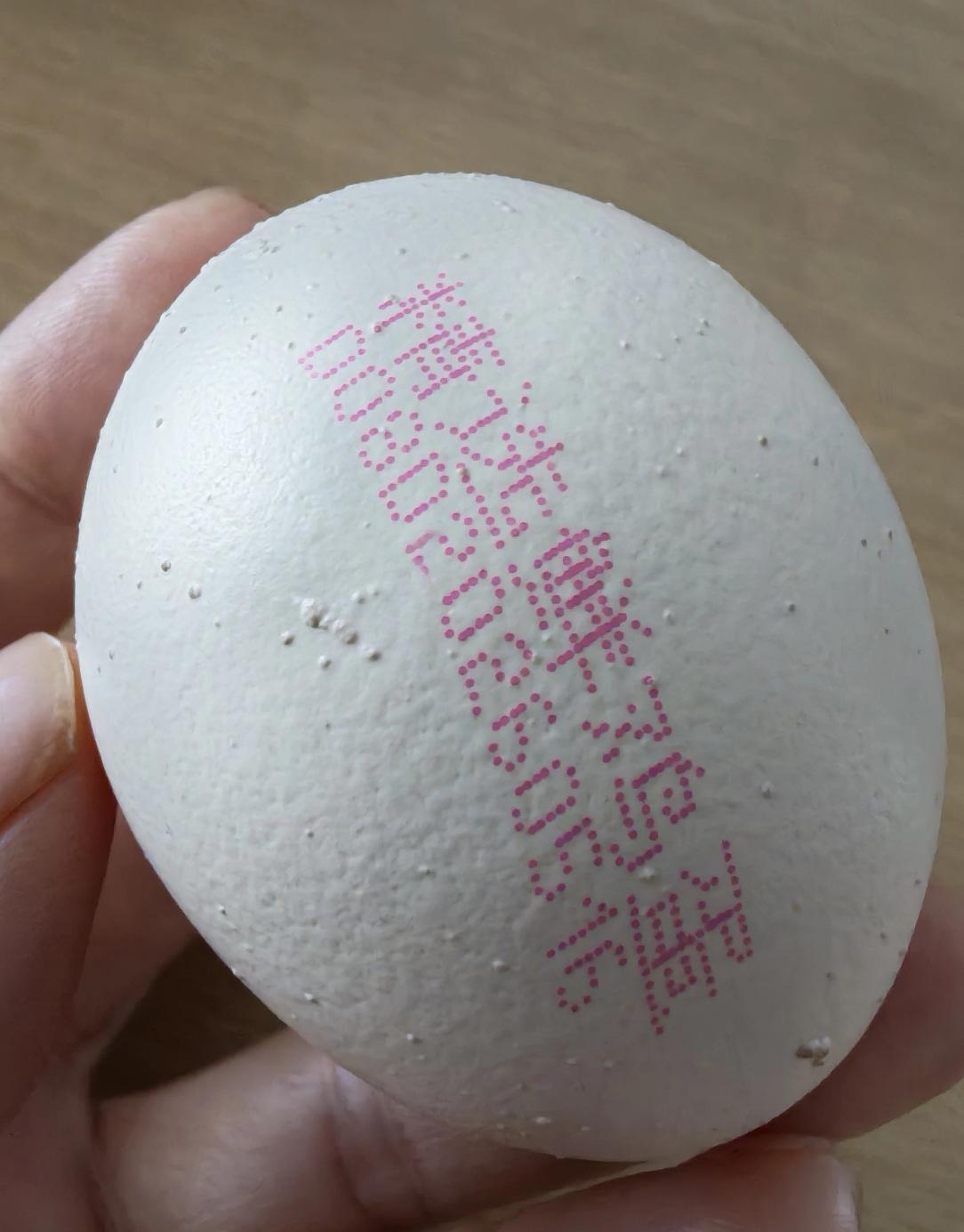 这还是真的鸡蛋吗？我开始严重怀疑！