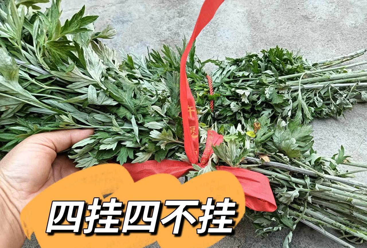 端午节挂艾叶讲究的是四挂四不挂，不要随意的来挂。先来说第一挂，挂粗不挂细，古人认
