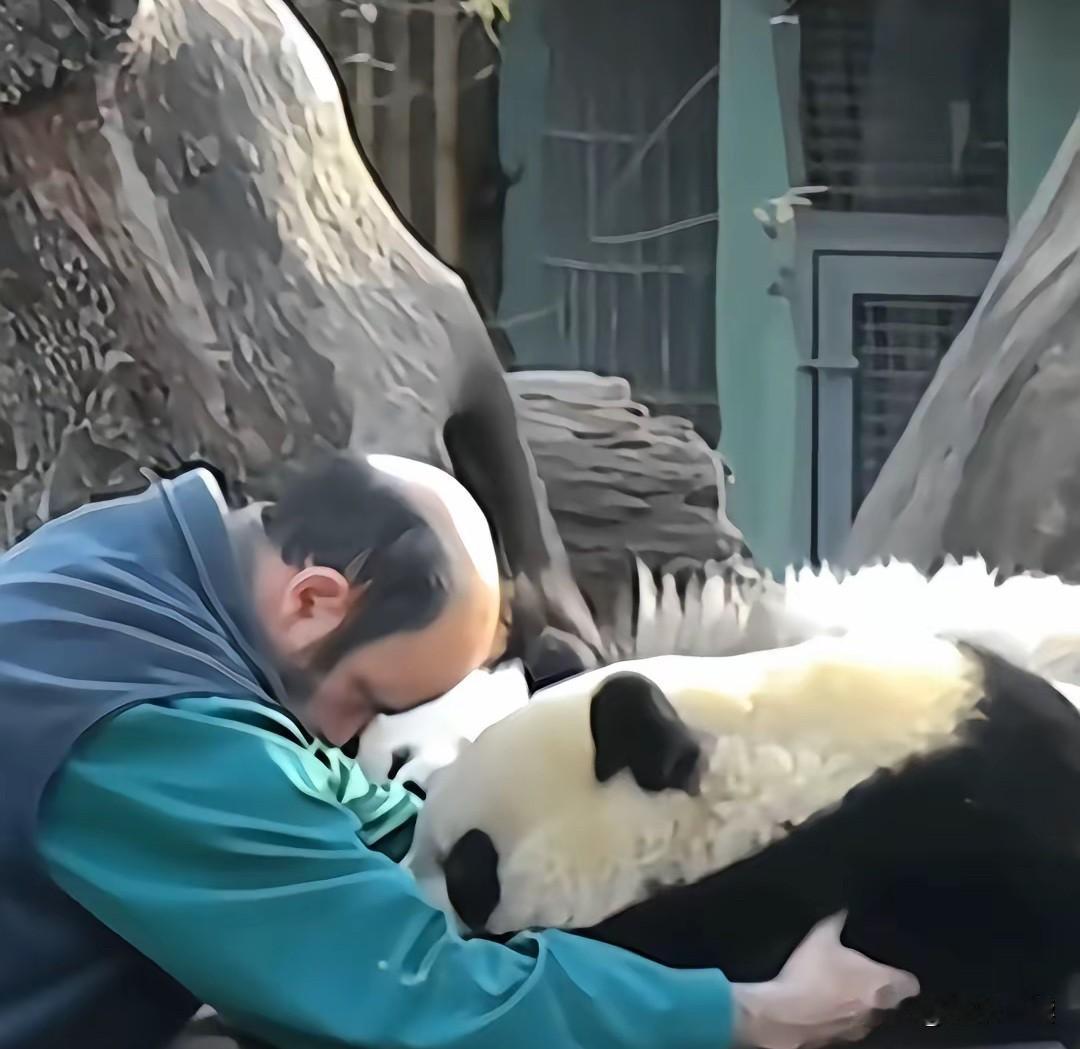 德德启程回国，西班牙奶爸眼眶泛红，那反复抚摸的手、不舍的眼神，让人瞬间破防！这场