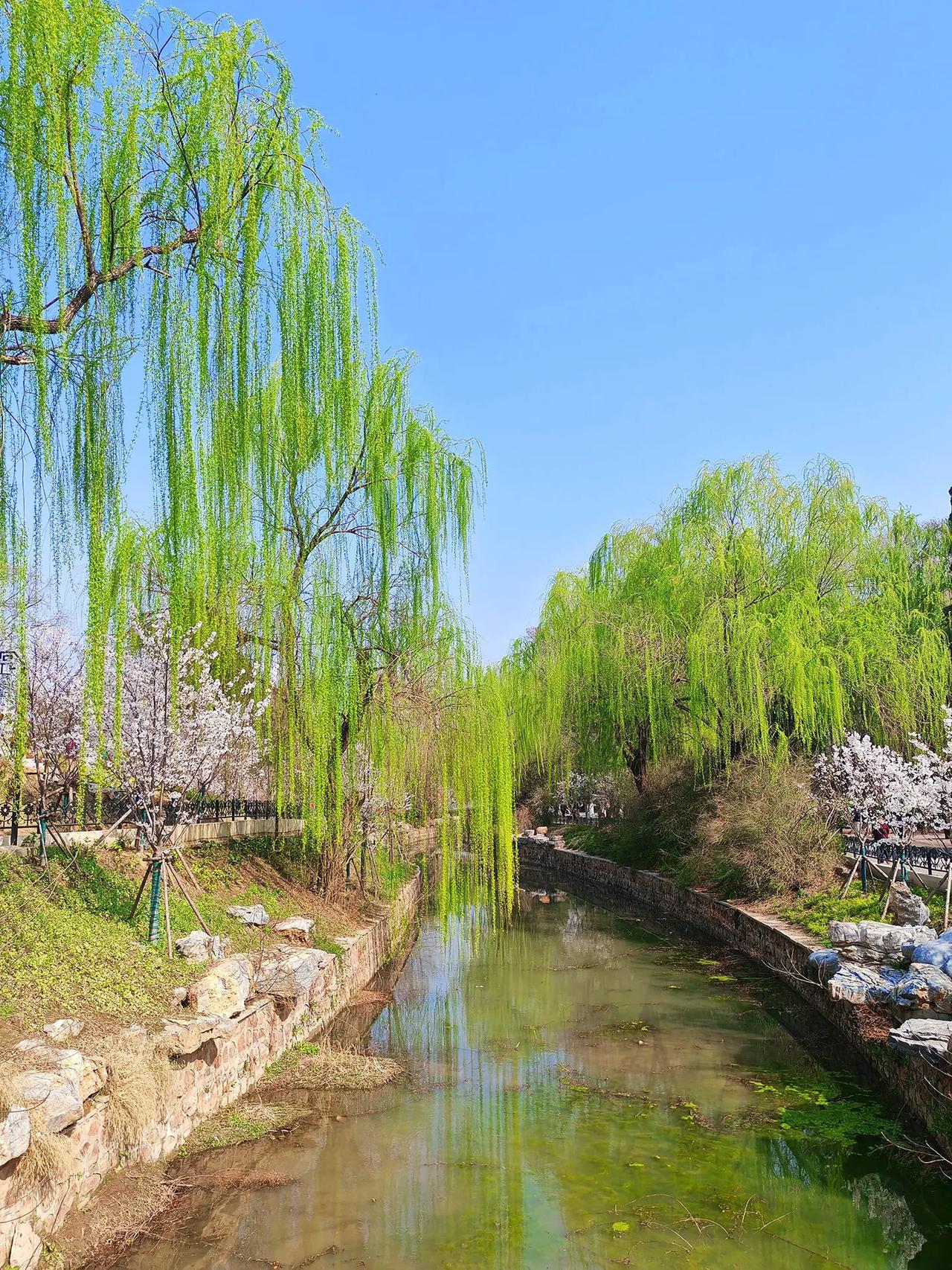 旅行随拍分享创作者中心创作灵感