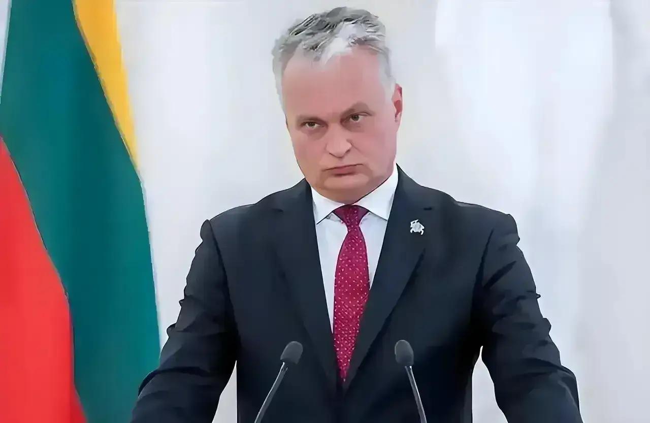 立陶宛总统瑙塞达对台湾画的饼还是不死心，开始向台湾要债啦。立陶宛总统外交政策顾问