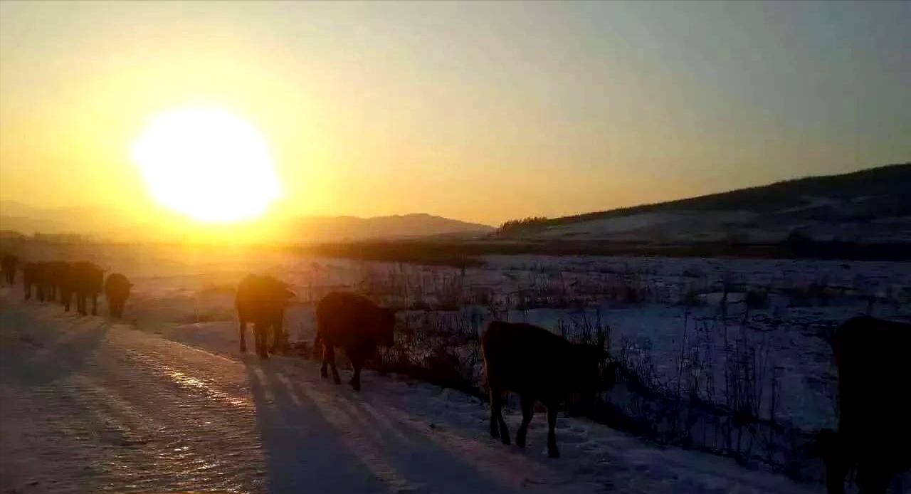 1月22日这消息一出，不少等着“吃老本”的人估计要睡不着了。农业农村部算是彻底