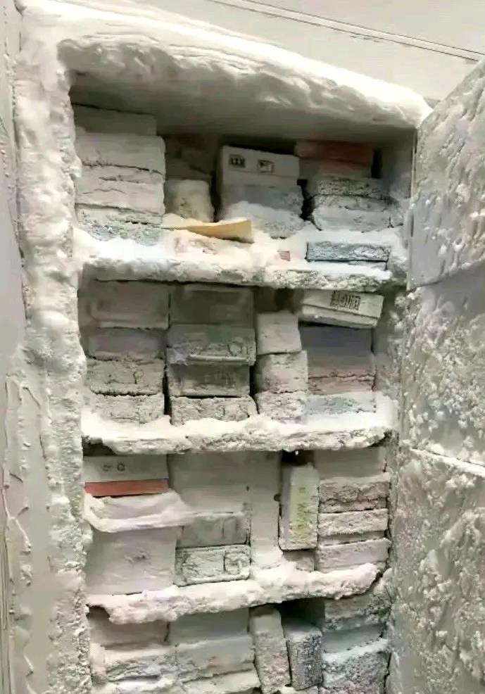 黑龙江的冰箱忘通电了，就变成这样了​