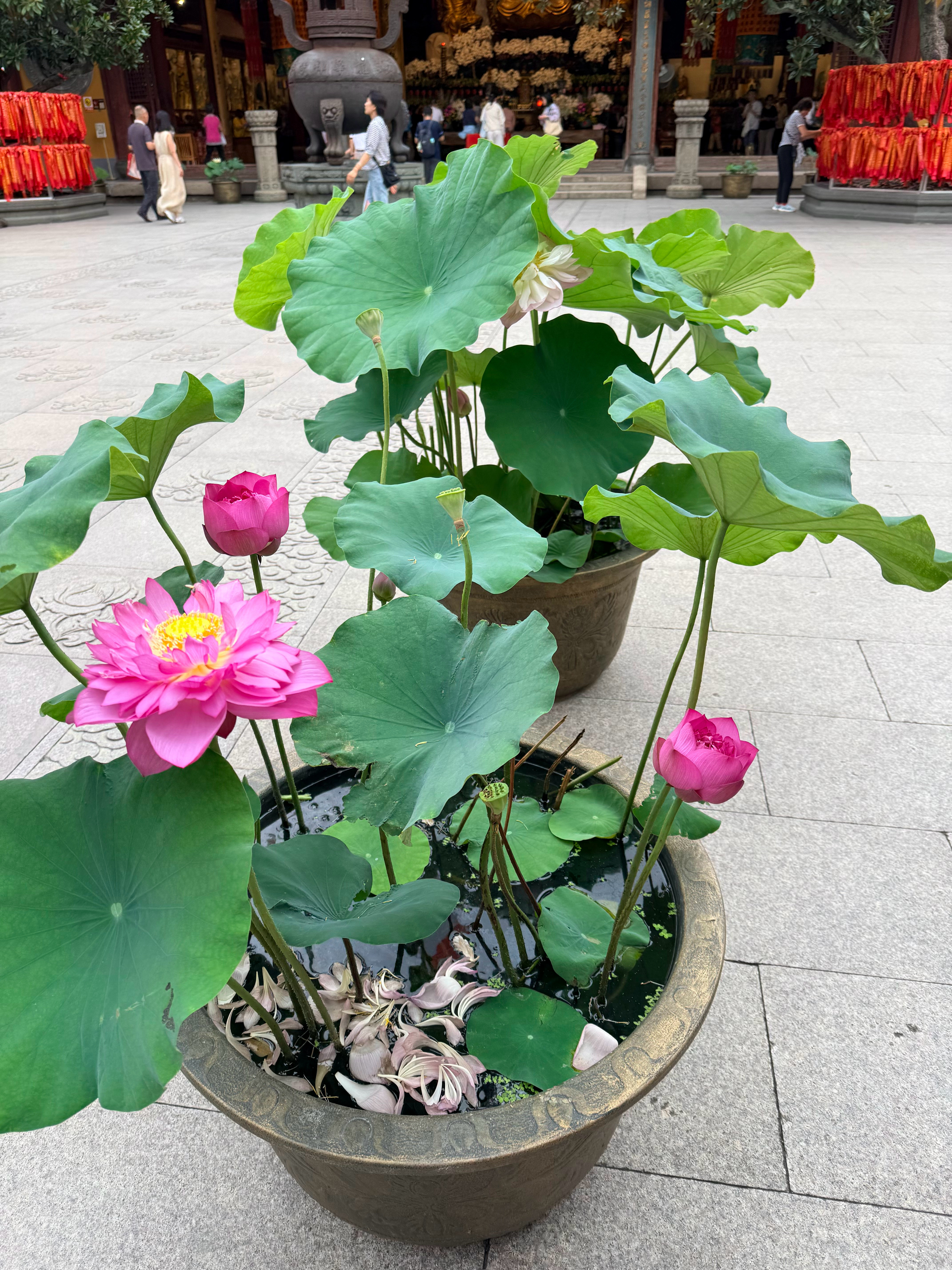 昨天长鑫万众瞩目，合肥国资十年一剑，账面浮盈达万亿元，这就是最好的宣发：它让ZF