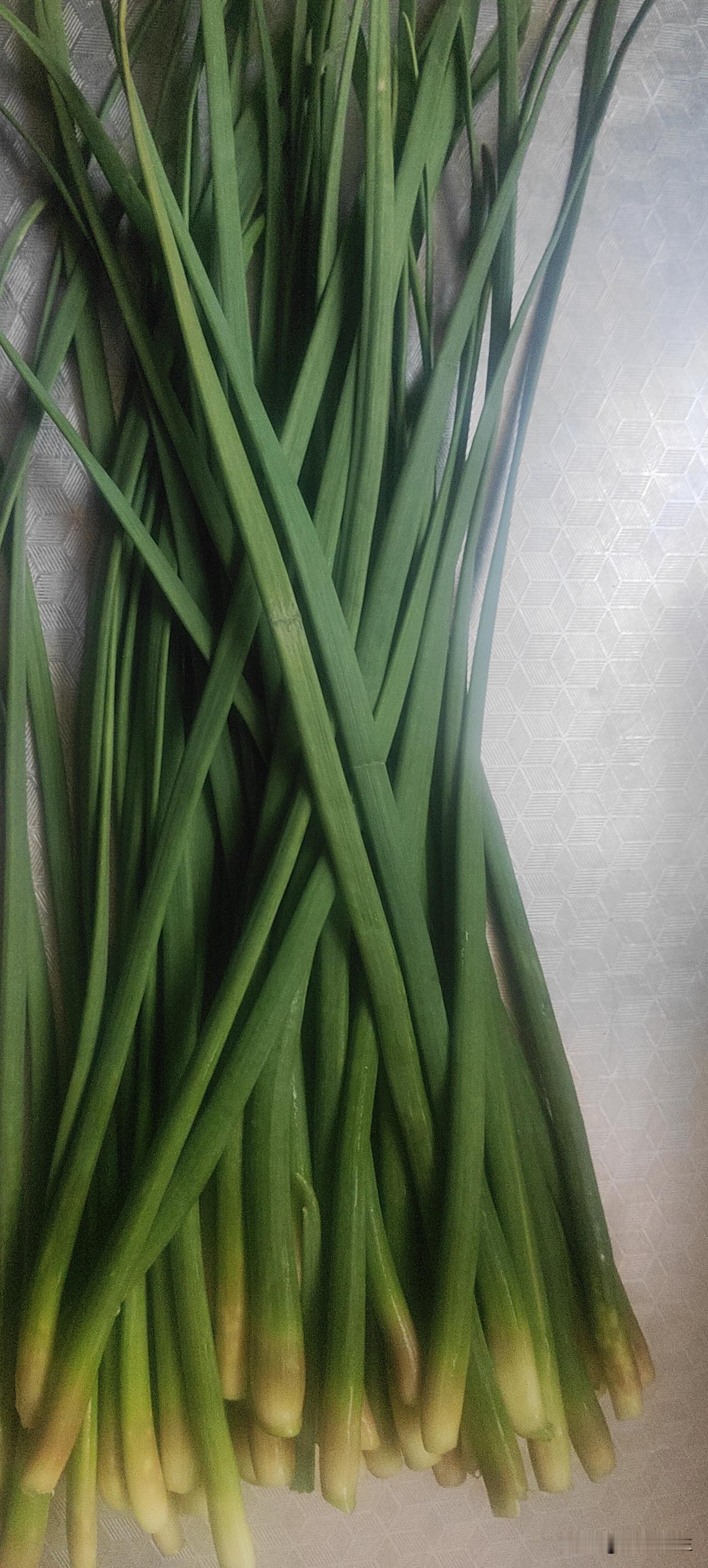 现在的短文没法看了，婆婆打了儿媳妇巴掌，然后儿媳妇啥话也没说，就当什么也没发生