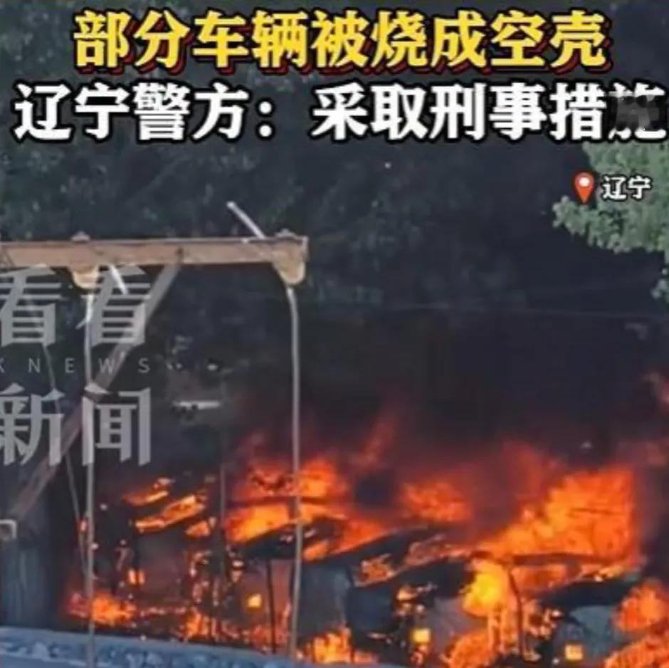 看待老人烧杨絮引燃车辆事件近日，大连一名七旬老人因嫌路边杨絮堆积影响通行，