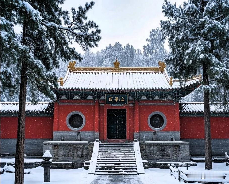 老铁们，咱河南人的嵩山，那叫一个中！别光知道嵩山是“五岳之尊”，咱唠点实在