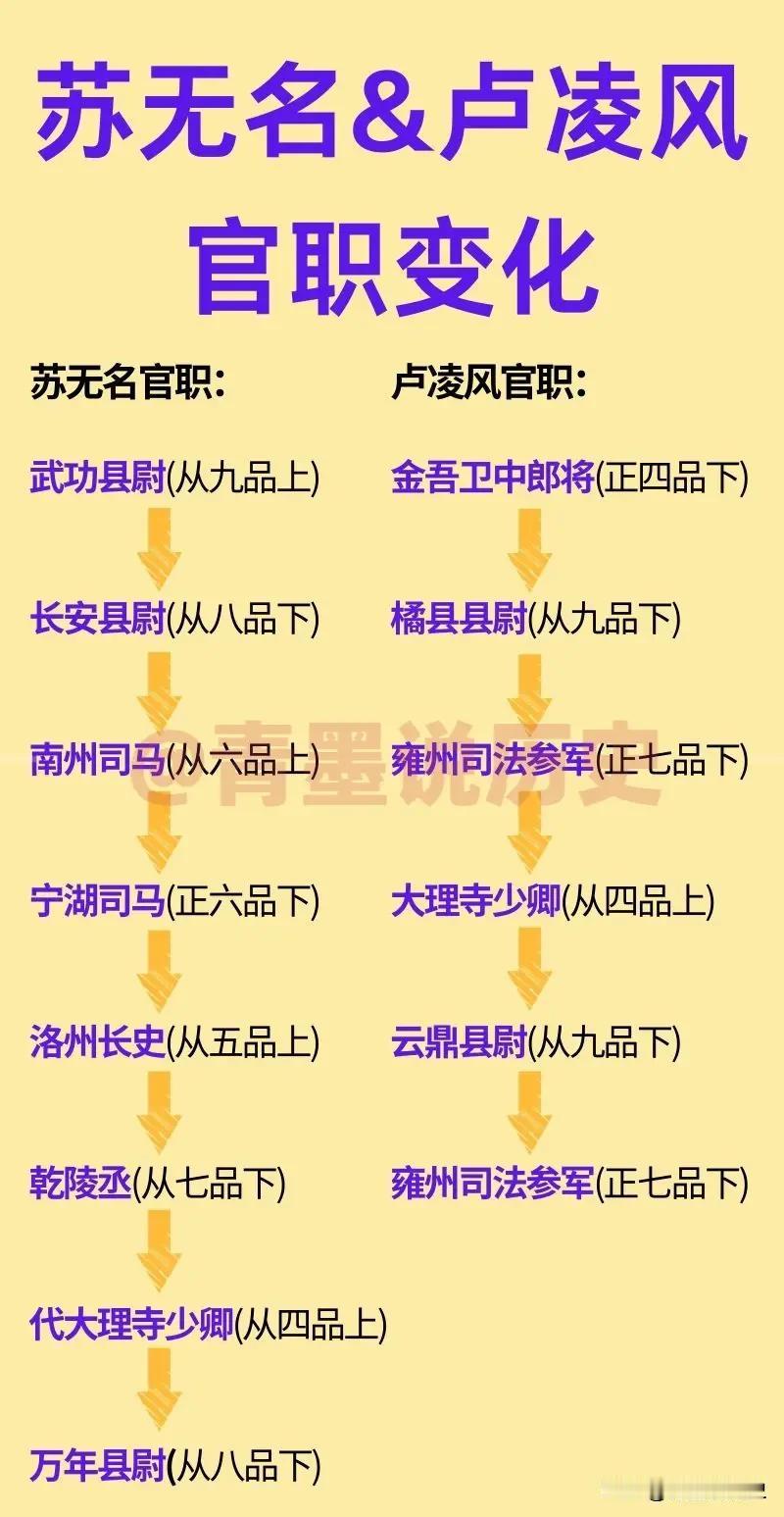 唐诡中的苏无名，仕途有多坎坷？剧中，苏无名擅长探案，所以他当的官职，很大一部