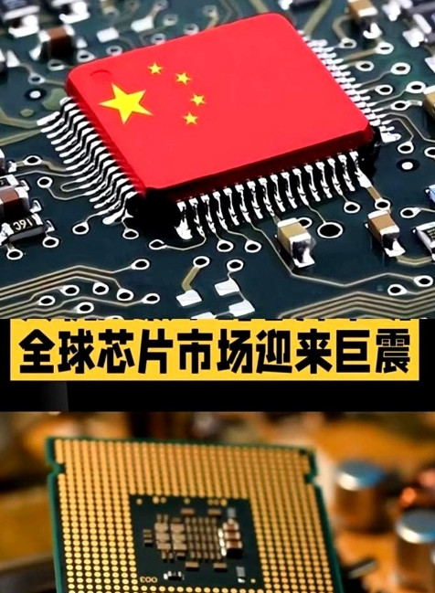 成功了！又双叒成功了！东方大国又双叒成功了！复旦大学团队成功研发出全球首款二