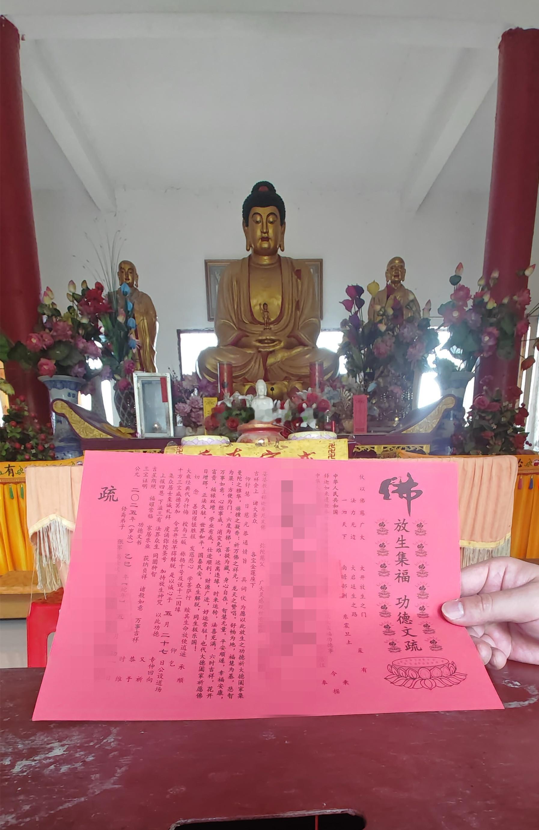 五月初一，乃新月启运之日，也是广种福田、培植善根的殊胜因缘。🙏能够在初一发心放