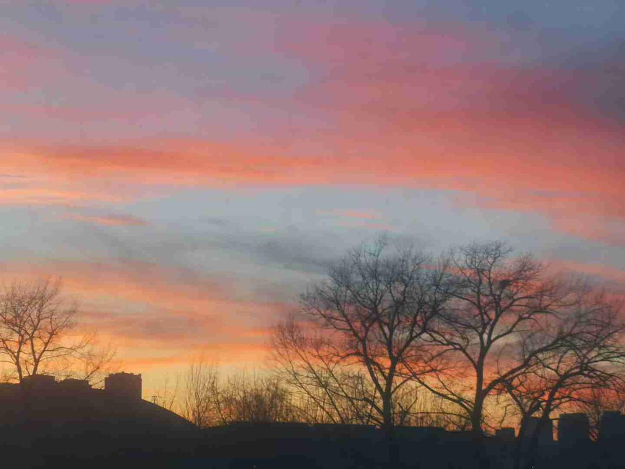 玄学定律，你别不信:1，家越干净，人越有福2，入户门口，不放垃圾桶3，房