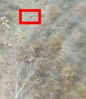 是不是都觉得辽宁失联的4岁女童没希望了？在山地里失联超40小时，终于被找到了