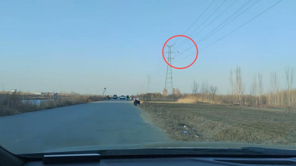 “心也太大了！”12月7日，山东济宁，一男子在河边钓鱼时，看到不远处有小孩在放风