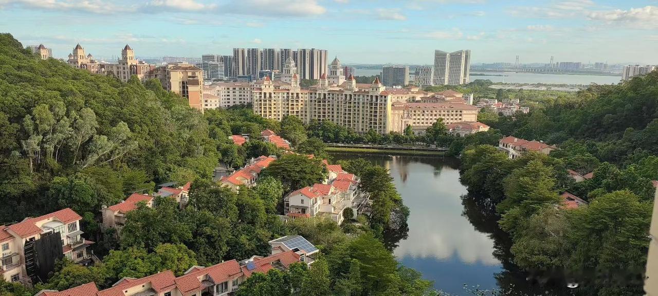 本来有可能成为南沙景色环境还有fs最好的楼盘，甚至有可能搞成南沙一个难得的养
