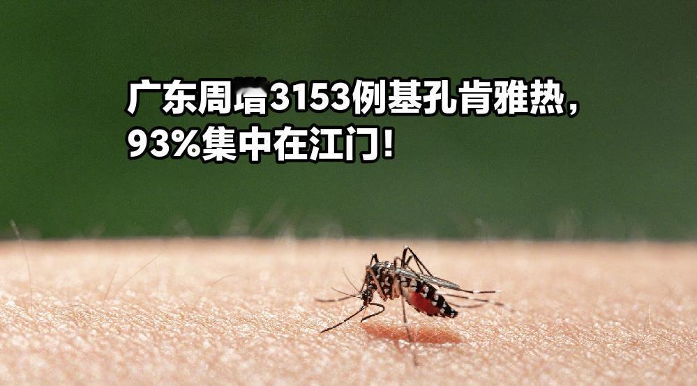 广东周增3153例基孔肯雅热，93%集中在江门！疫情数字背后，一场被忽视的社会
