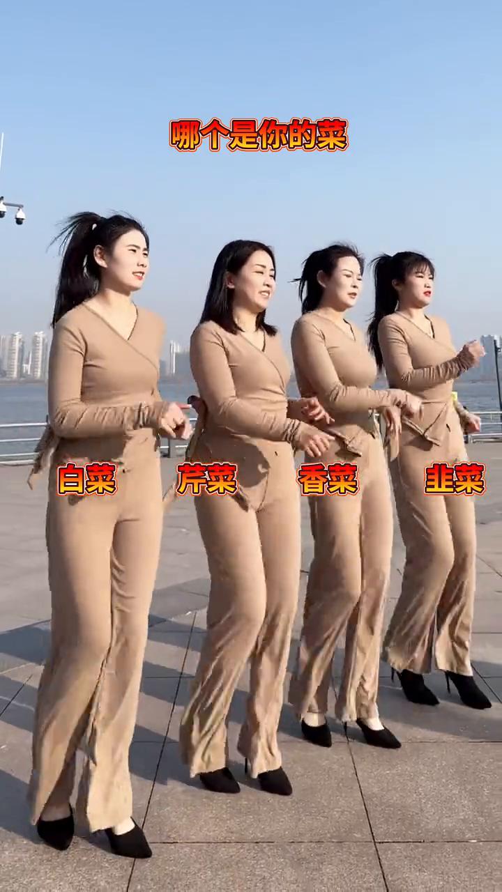 哪个是你的菜？白菜、芹菜、香菜、韭菜。