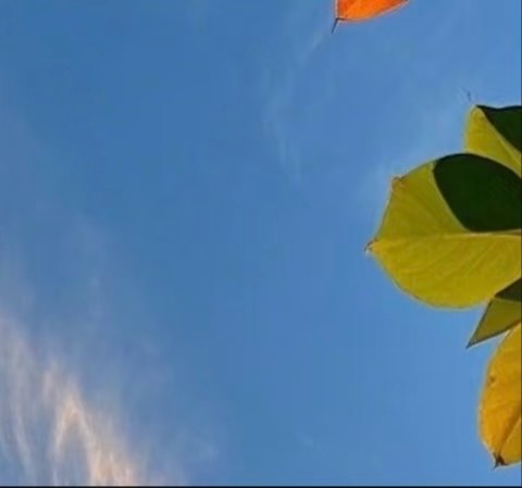 生活不论好坏，每天都是限量版，永远乐观自信，永远积极向上，别让世俗，淹没了生活的