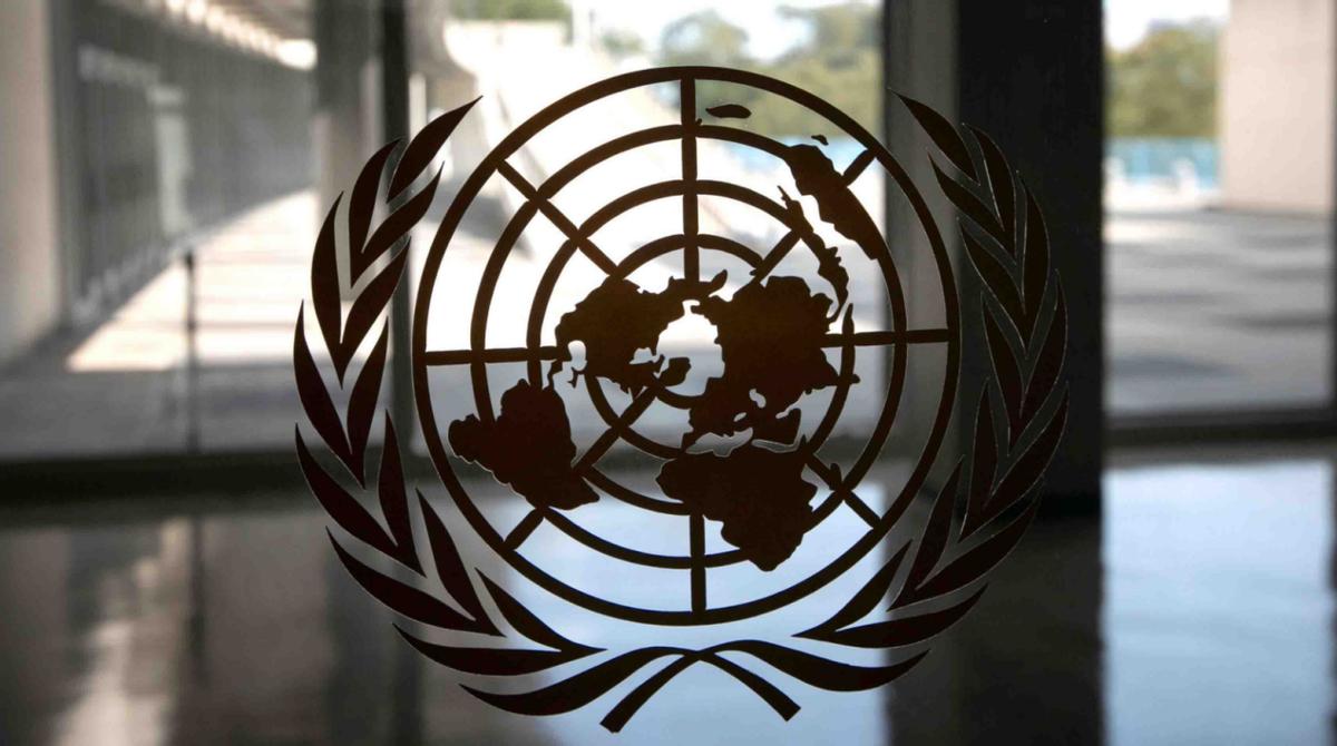 81国批准了，新群总部落户中国？四架包机离京，南海有新动作。81国签订新条约，新