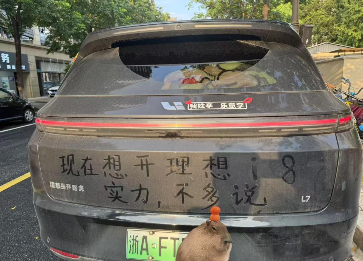 好家伙，这个车主理想有点多啊[捂脸哭][捂脸哭][捂脸哭]​​​