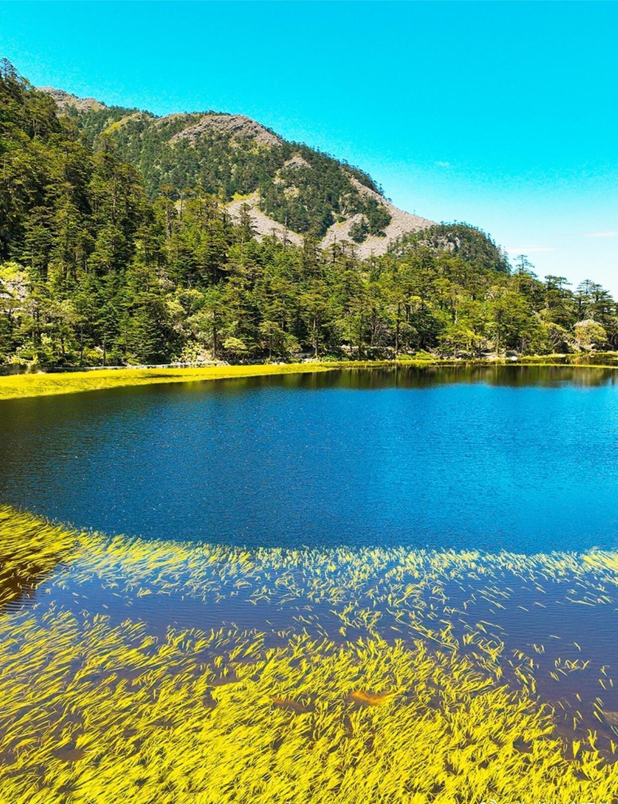 向山野出发🍂去螺髻山吹自由的风🍃想逃离城市内卷，寻一份秋日松弛感？直接冲螺