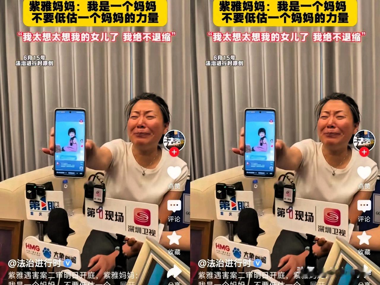 紫雅离去，留给母亲无尽悲痛。这位坚强母亲独自承受丧女之痛，还要为女儿讨公道，艰辛
