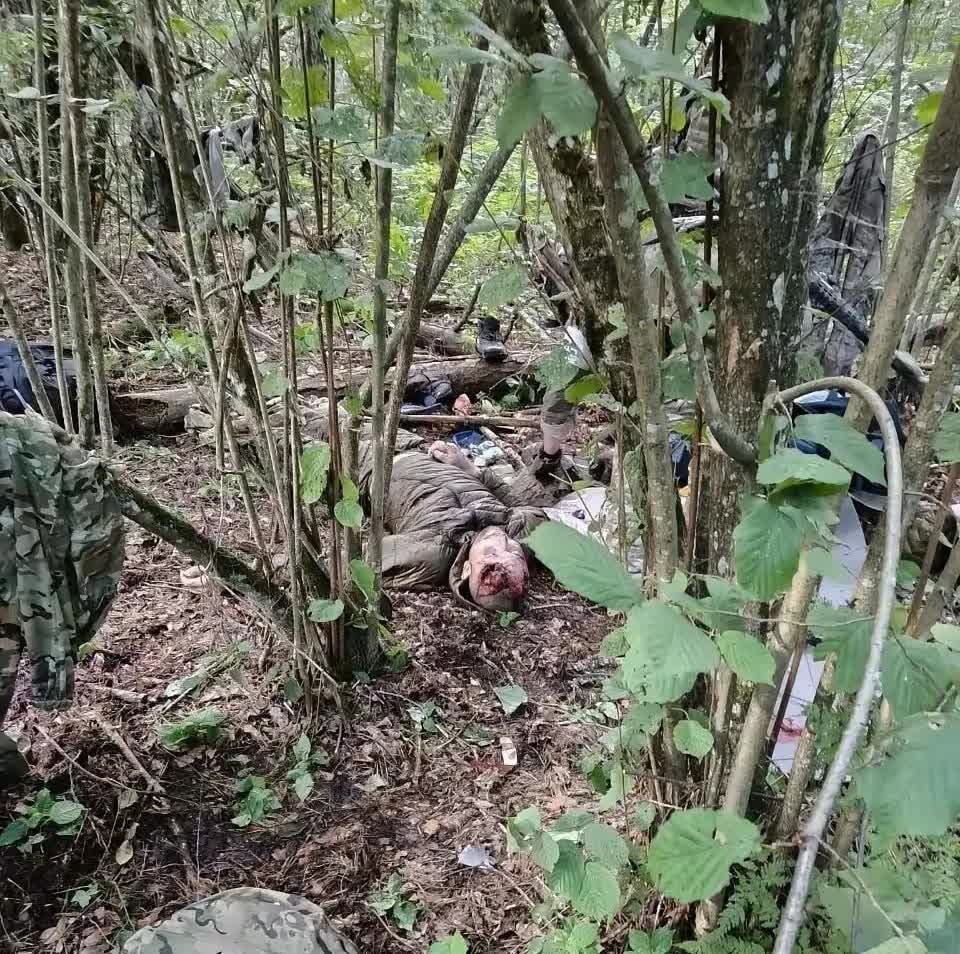 俄罗斯对来犯的乌克兰特种兵部队下手的确是狠心的。在布良斯克已经是发现了大量的乌特