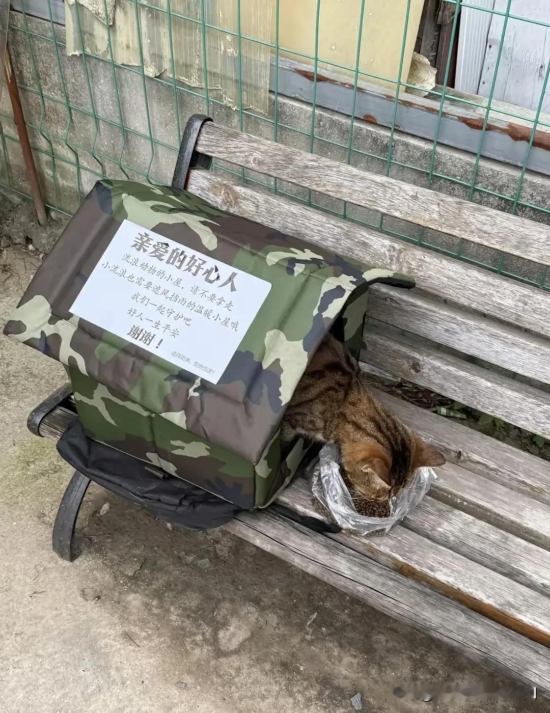 主人搬家了，把猫咪遗弃在老屋没有带走，猫咪每天在主人离去的路口等着，它不知道主人