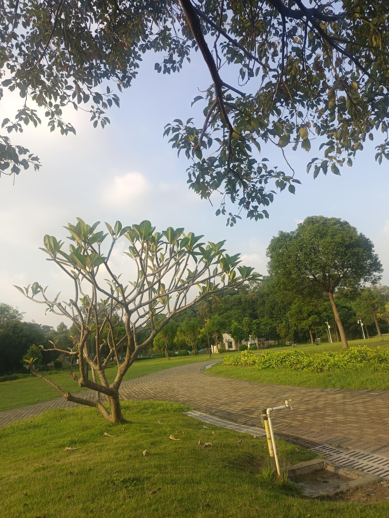 当今社会现象，离婚的比结婚的还要多！这是为什么？当两人走进婚姻，肯定是奔