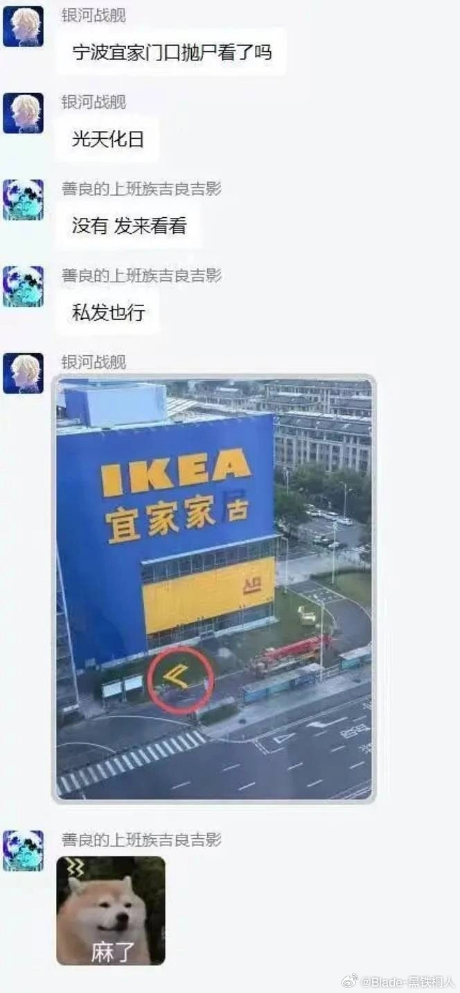 抛尸那不得不看了