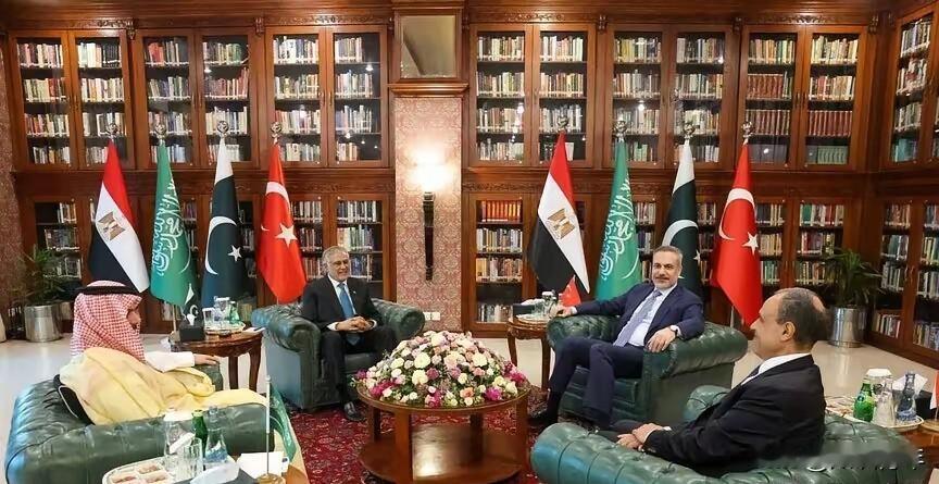 巴基斯坦、土耳其、沙特和埃及有了危机感。俄罗斯卫星通讯社4月17日报道，土耳