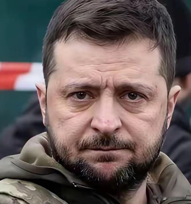 当初俄罗斯要谈，乌克兰不愿，打了四年，乌克兰想谈了，但又不愿意割地，明明输了，泽