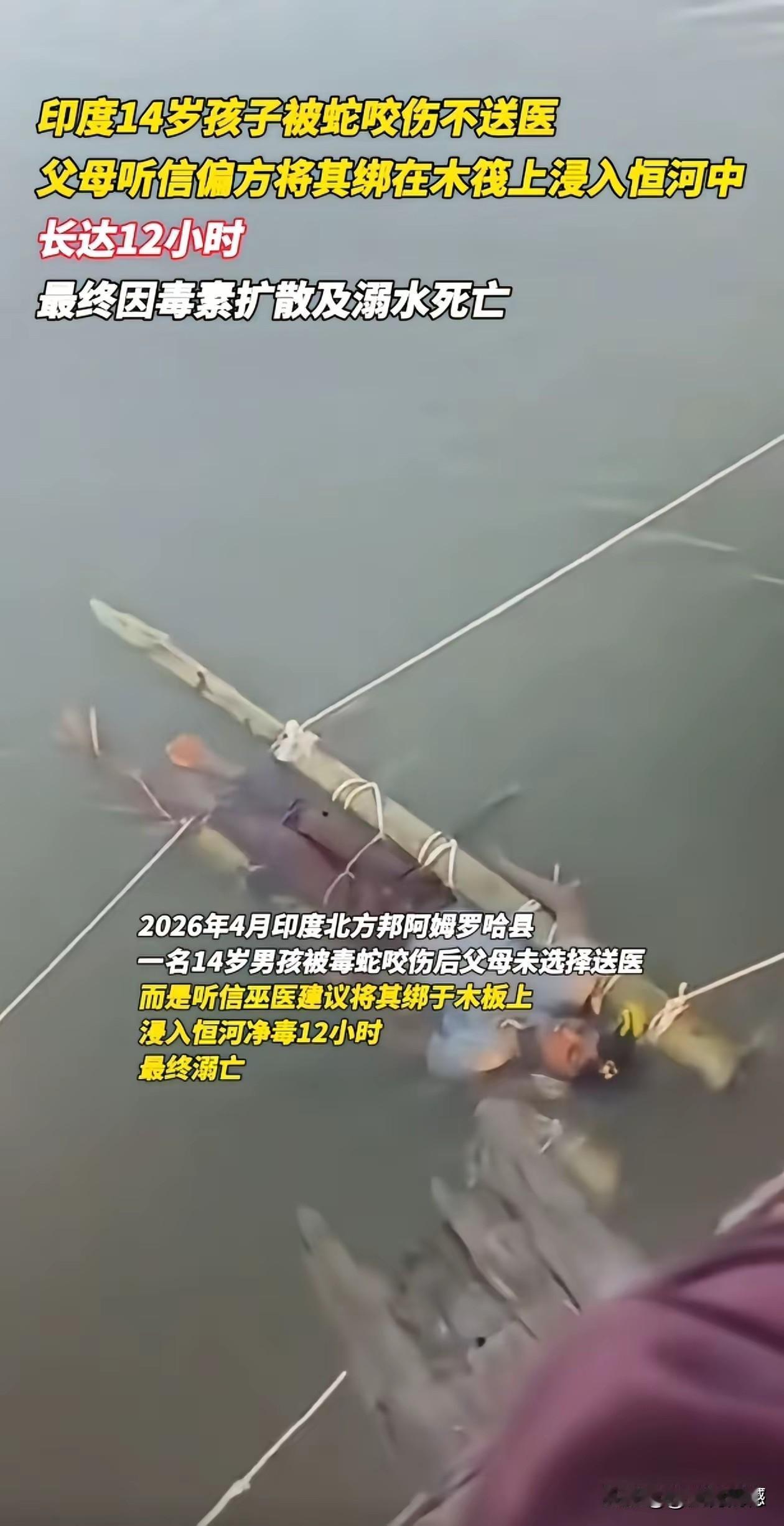 印度这个14岁男孩被毒蛇咬了之后，就这样被愚昧野蛮的浸泡在河水里长达12个小时，