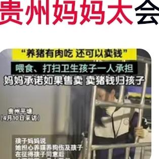 笑喷全网！贵州妈妈为哄女儿买头猪当宠物，半年后画面笑不活了太有意思了！贵州