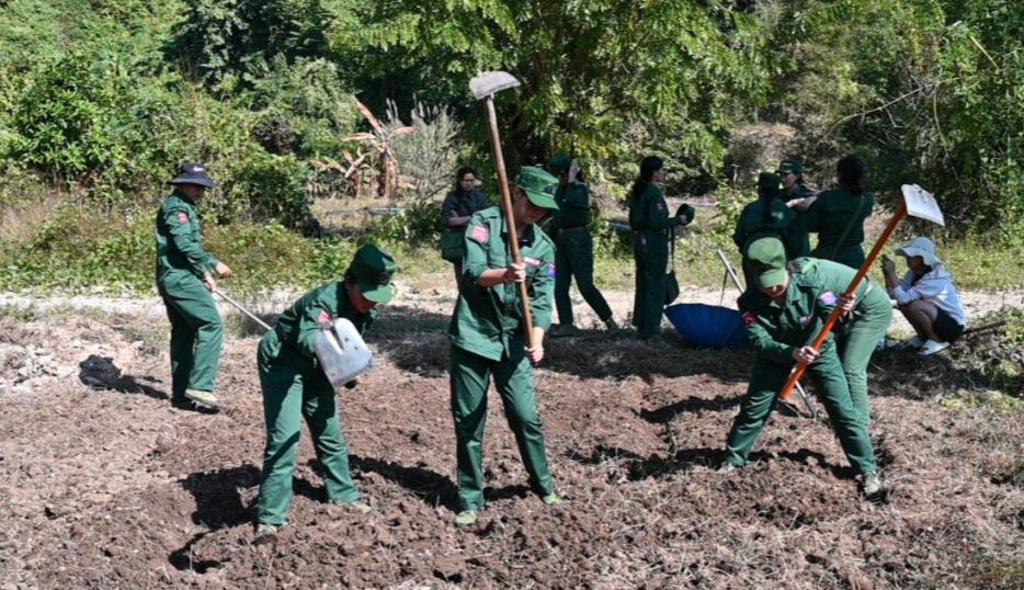 果敢同盟会的菜篮子工程很顺利！在木邦县的空地有三亩！果敢同盟军种了很多蔬菜，
