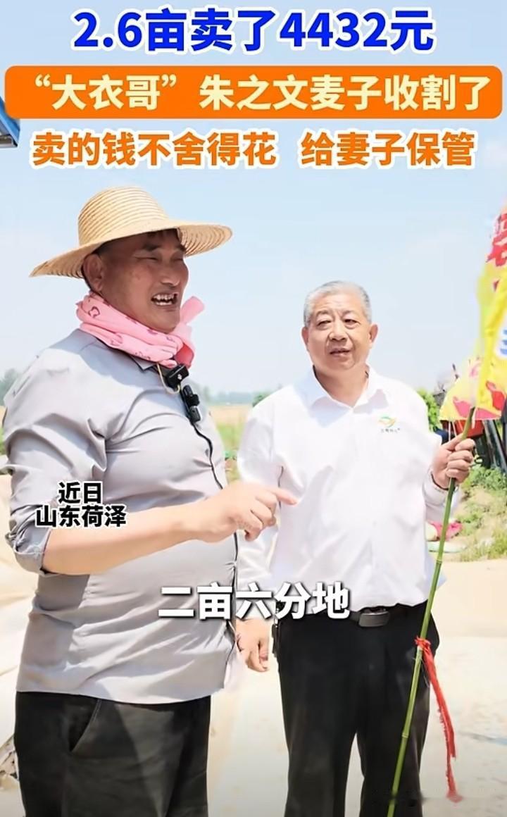 种小麦居然这么赚钱？近日，年入千万的大衣哥朱之文回村收割了2亩6分地小麦，居