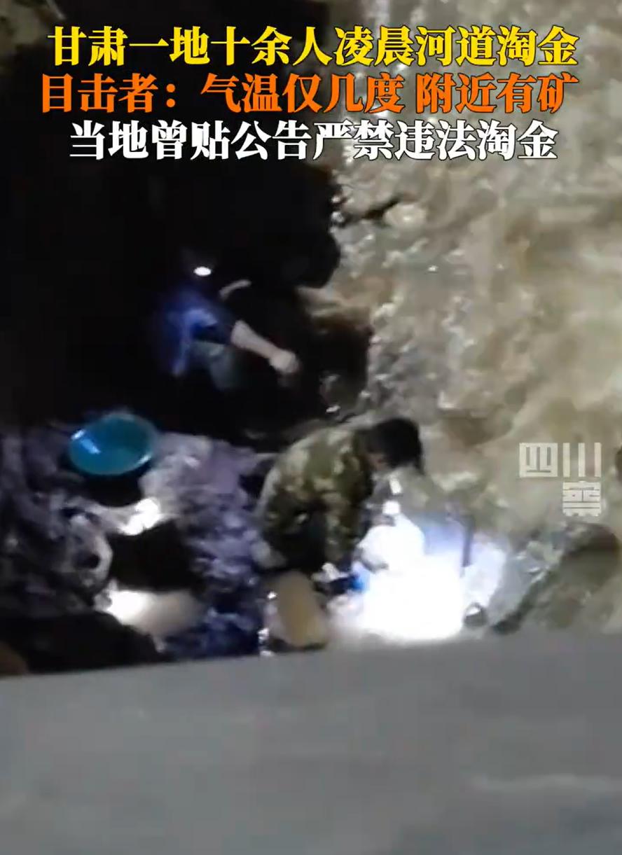 “这是非法淘金！”甘肃康县，有人发现河道里面有金子，消息传开后十余人凌晨河道淘金