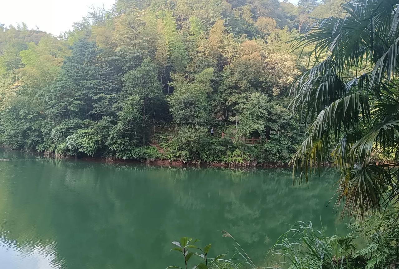 老实说，当海拔1300多米的贵州山上避暑房都开始感受到热的时候，川渝两地