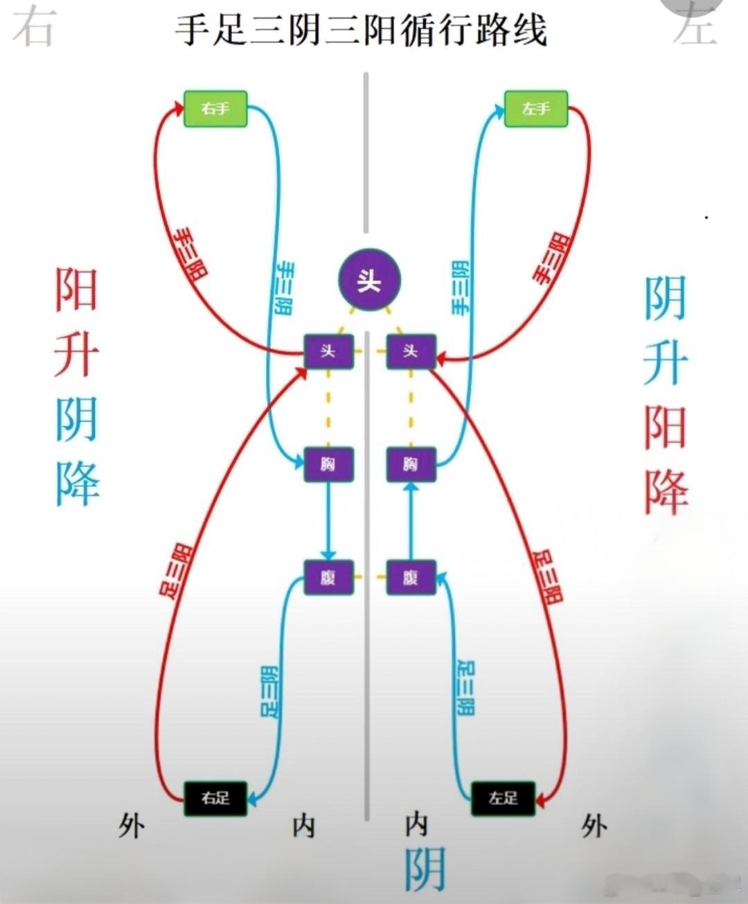 菟丝子的用法不传之秘，补肾不燥、祛湿不伤阴，关键在炮制配伍酒菟丝子：这才是补肾的
