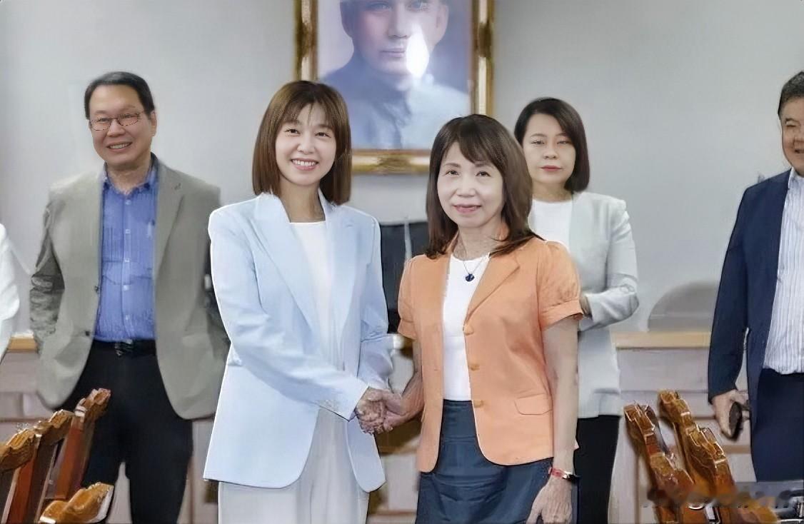 立院召委改选：民进党8席、国民党7席、民众党1席台立法机构今天（8日）举行各