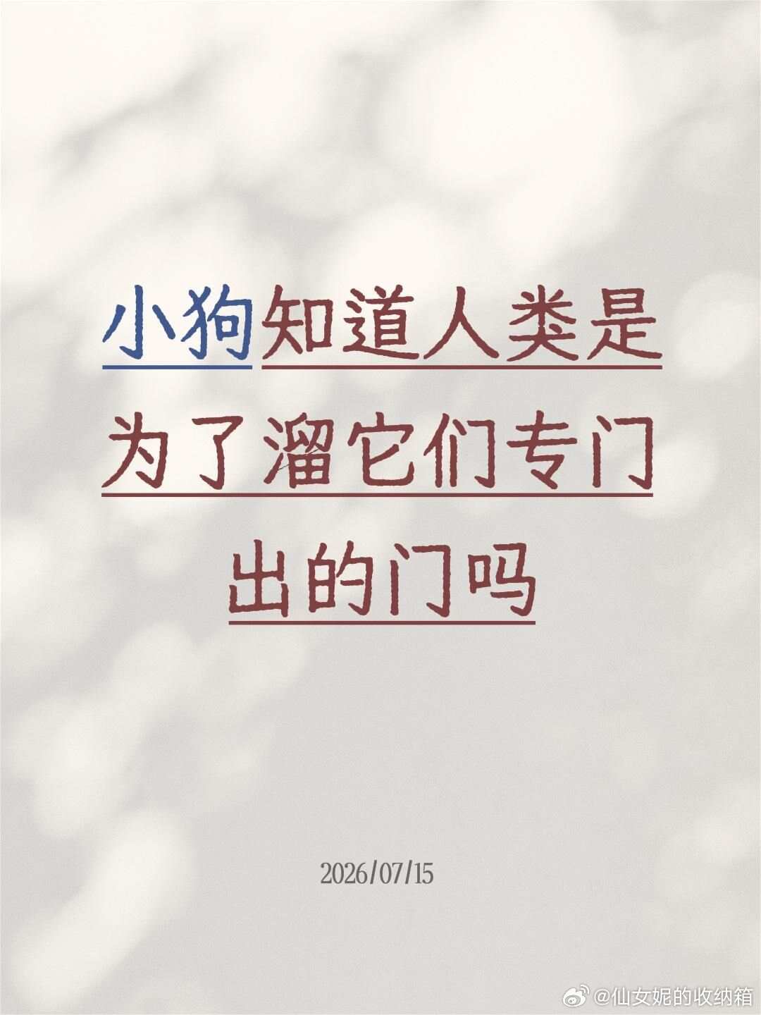 小狗知道人类是为了溜它们专门出的门吗？