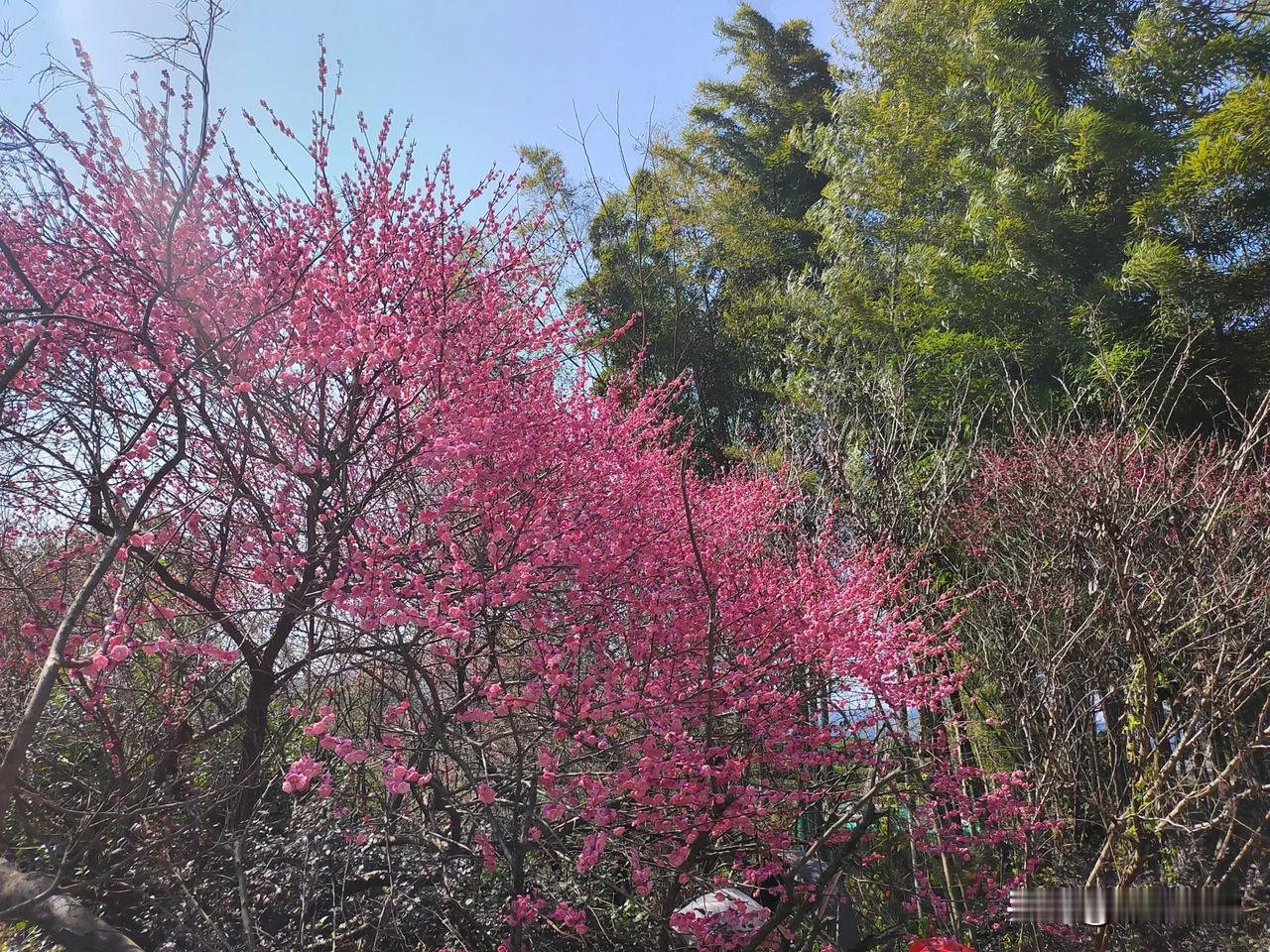 家长希望孩子上学去，教育局要孩子真正实行双休，孩子在家里却大多数在玩游戏，让家长