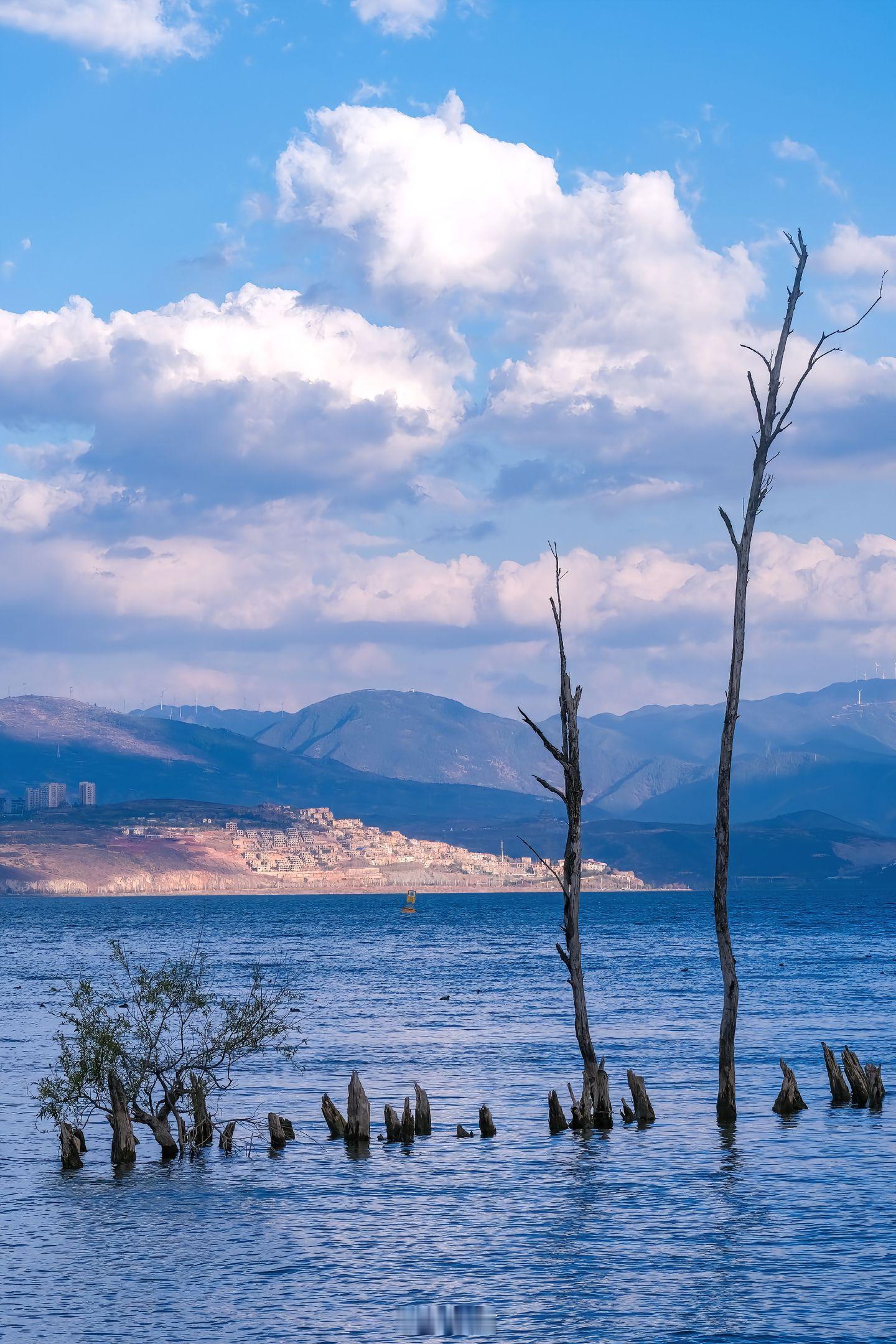 小菌路的尽头是山海。