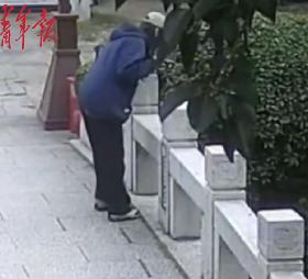 女大学生写生遇老人落水，扔下画笔冲过去！网友：最美的画是救人大爷