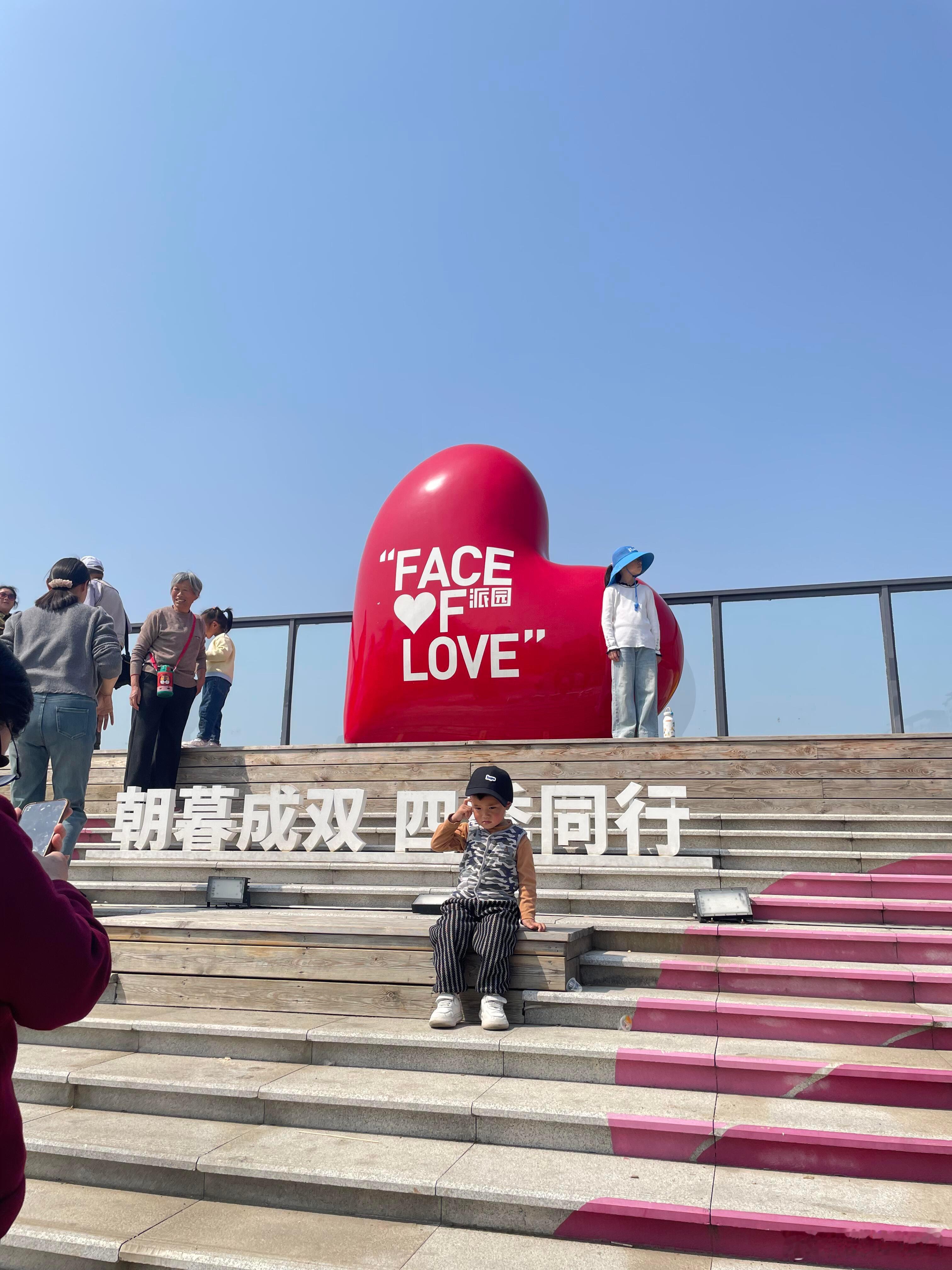 合肥肥西派园春日花海。紫色二月兰、金黄油菜花、粉白樱花一键集齐。微风一...