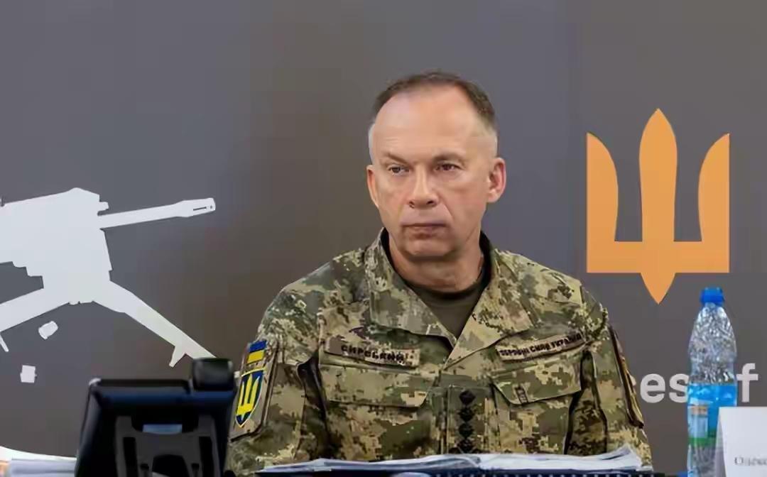 瑟尔斯基：乌军南部反攻夺回470平方公里土地，打死1.1万名俄士兵。乌克兰武