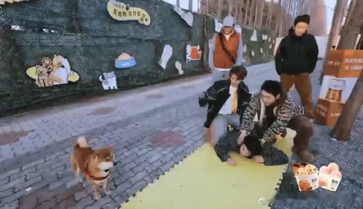高瀚宇的狗被鹿晗吓尿了高瀚宇的狗也害怕鹿晗哈哈哈哈哈高瀚宇带狗来测试反应，结果