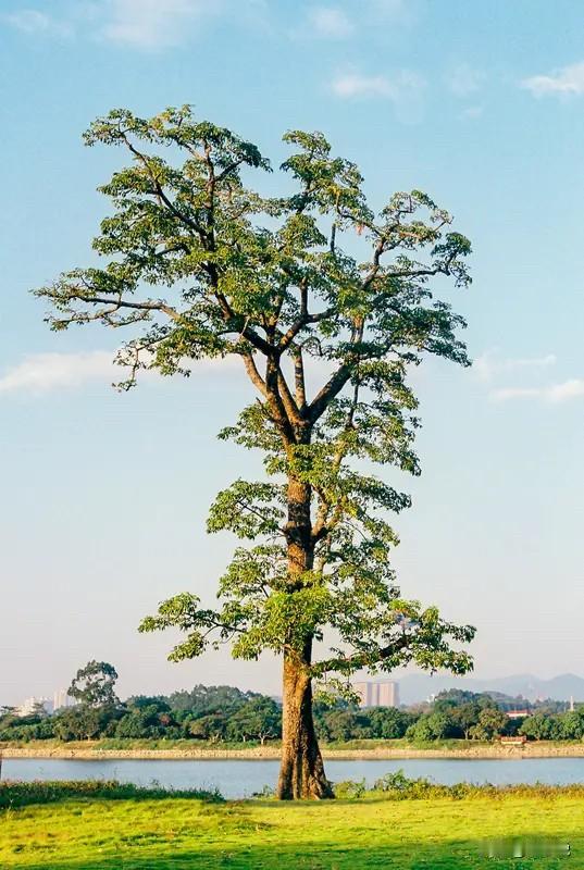 与任何人相处都要防十个陷阱。一、卖惨，逼你让步。二、捧杀，让你松懈。三、道