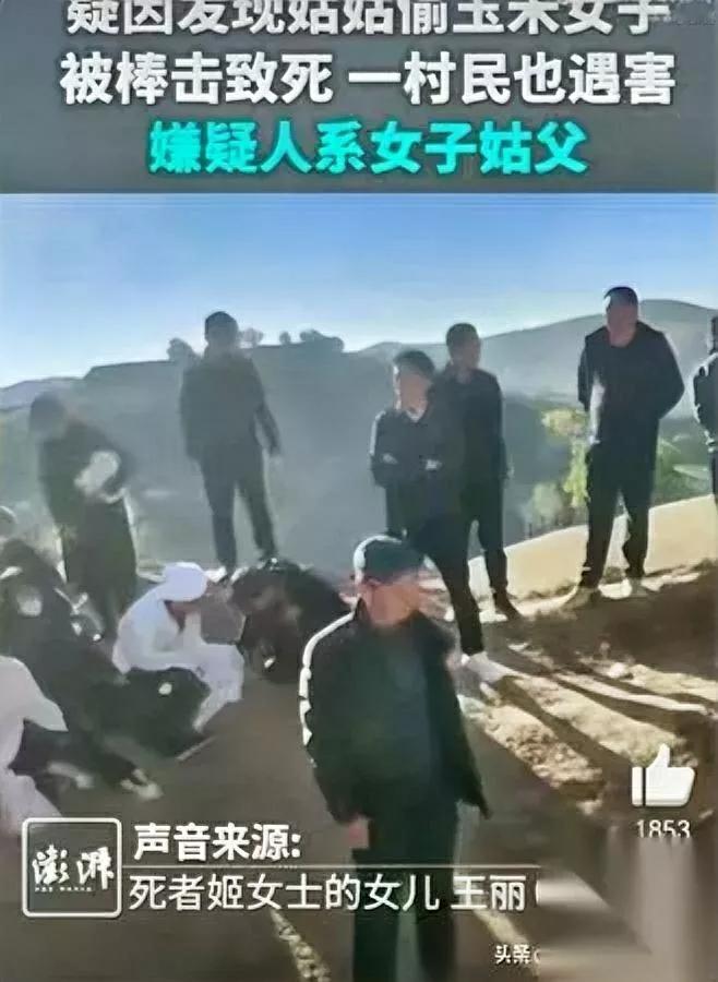 偷玉米？一条命！75岁姑姑天天摸进侄女的玉米地，侄女录视频留证据，姑父抡