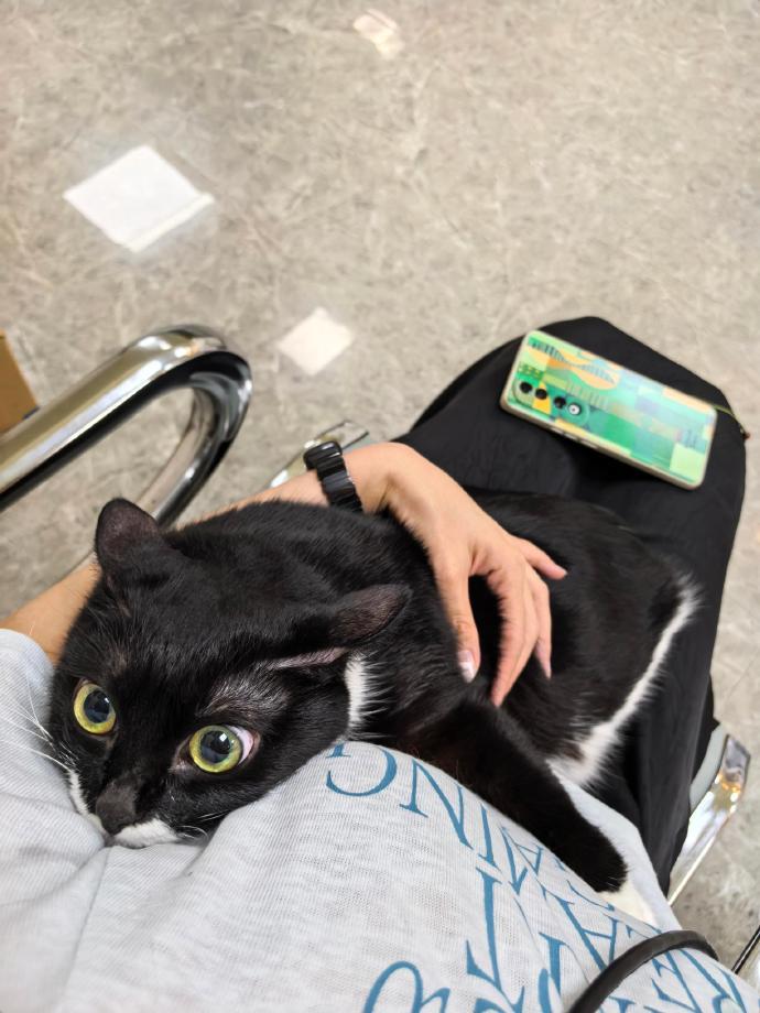 给小猫吓成无牙仔了！​​​​
