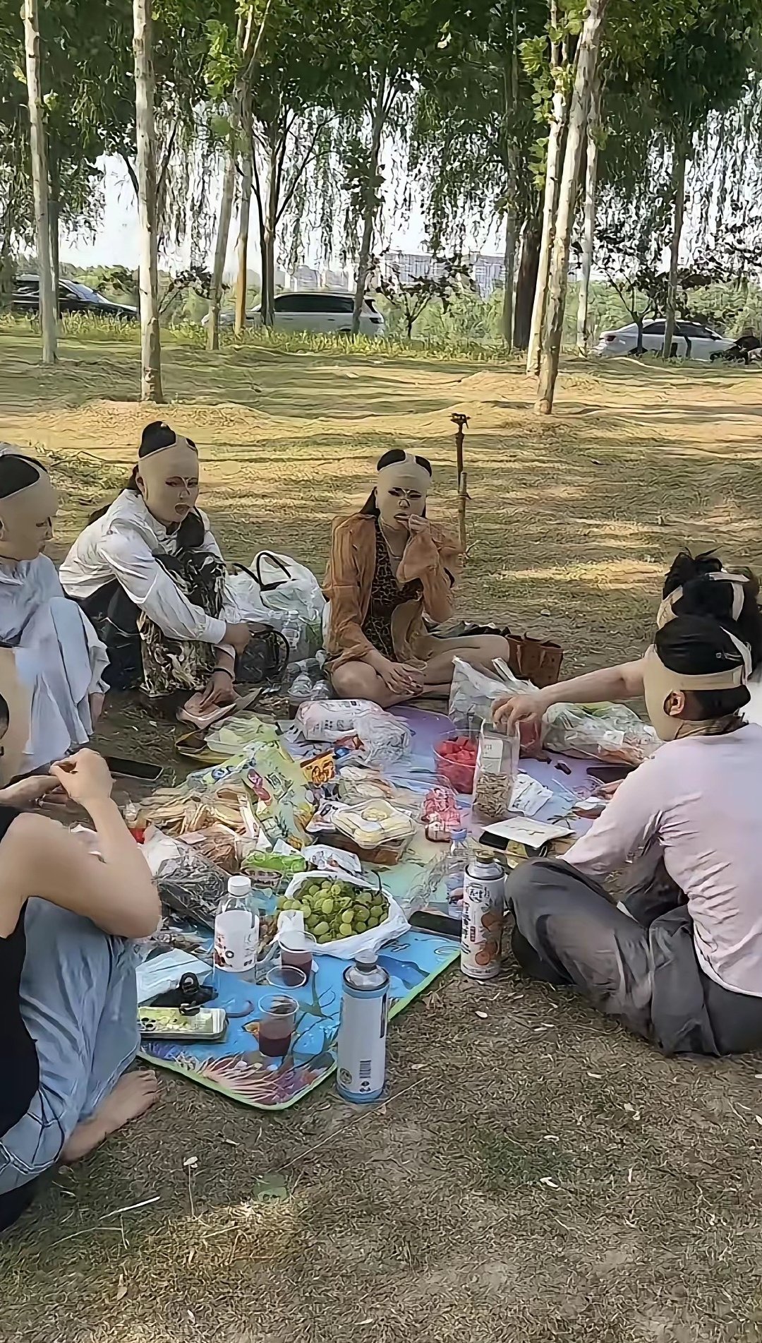 有必要搞成这样吗？这是怕什么